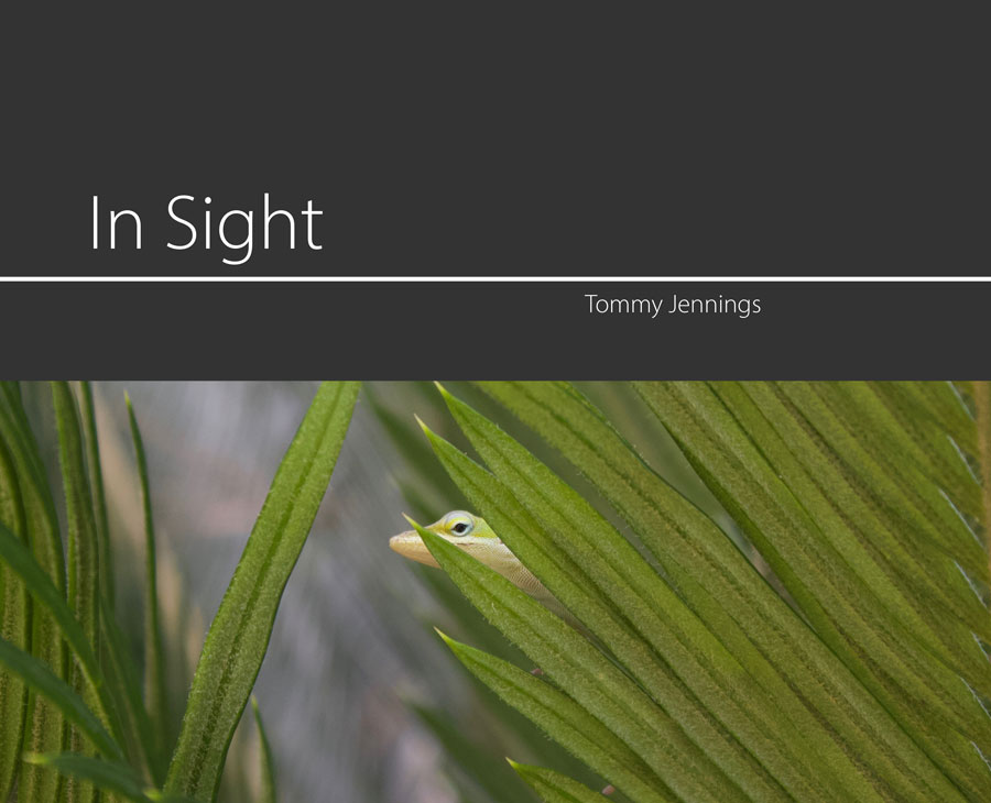 In Sight by Tommy Jennings